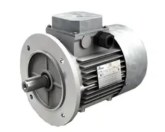 Motovario Three Phase Electromotor