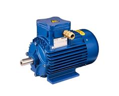 Cemp Italy Explosion Proof Electromotor