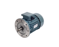 Turkey Three Phase Gamak Electromotor With Flange