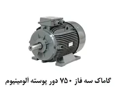 Gamak Electromotor 0.75 W Three Phases 75 Rounds