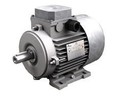 Motovario Three Phase Electromotor